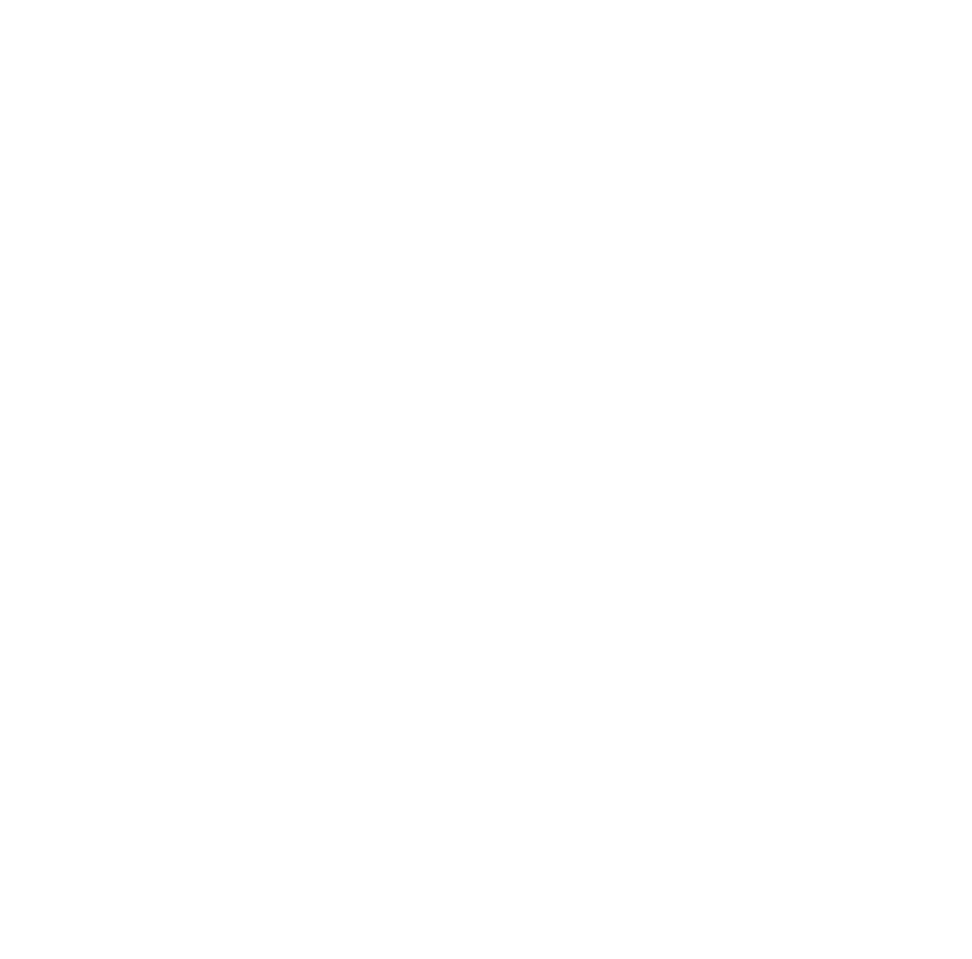 Cowboy Nerds logo