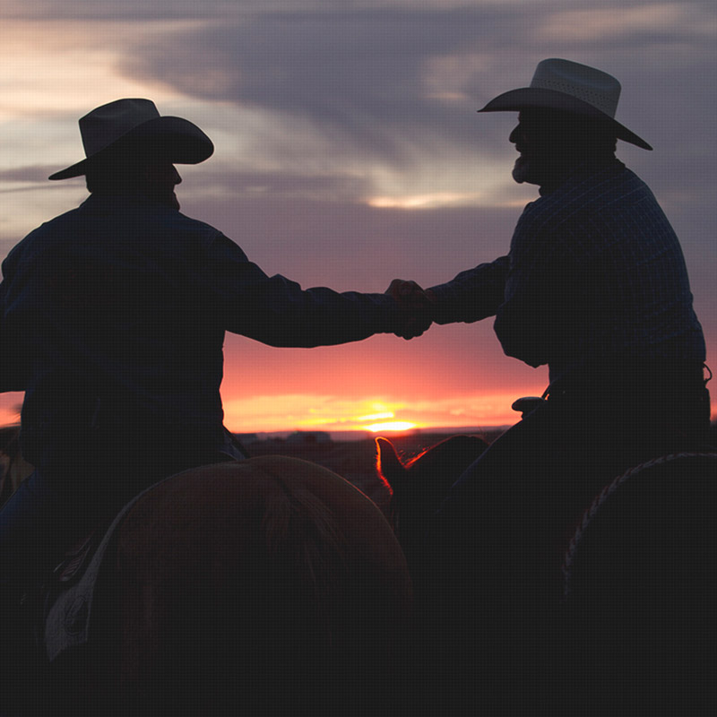 Handshake at sunset — trust and partnership